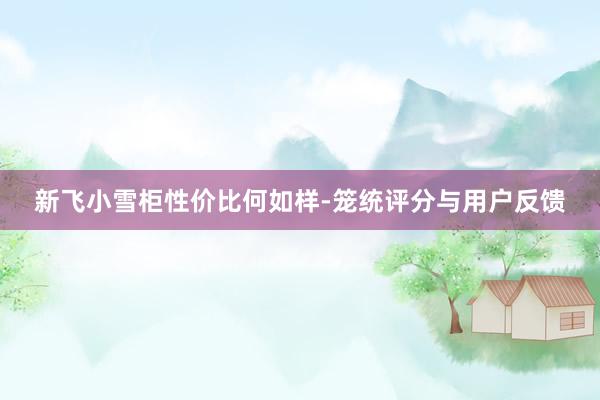 新飞小雪柜性价比何如样-笼统评分与用户反馈
